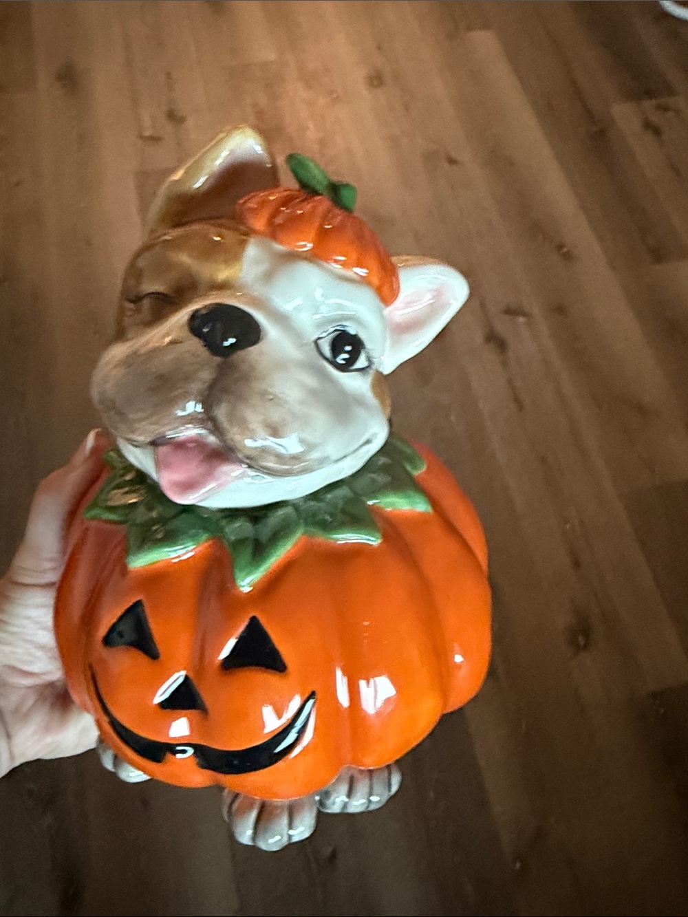 Pumpkin Dog decor new